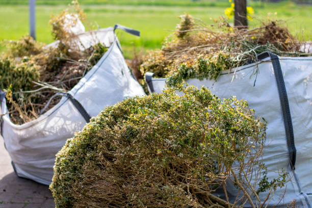 Demolition Debris Removal in Dripping Springs, TX